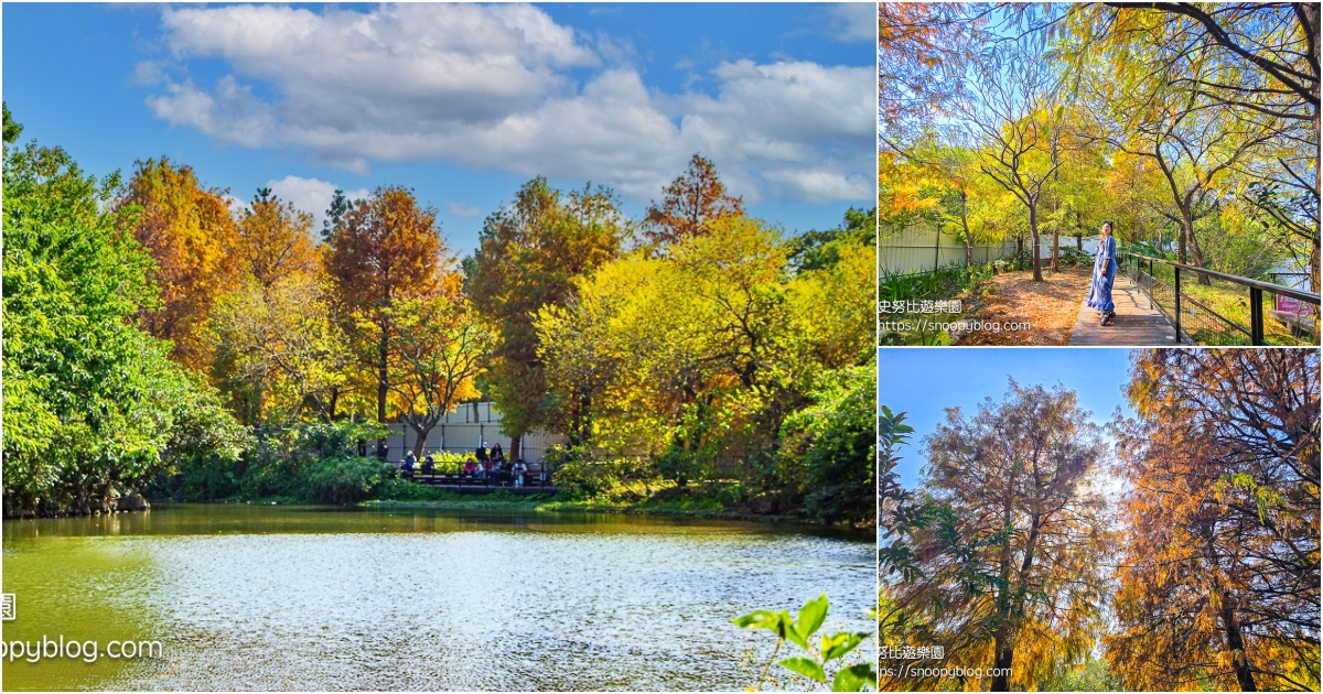 網站近期文章：大安森林公園落羽松｜搭捷運就能到台北市中心賞落羽松聖地，絕美水畔步道賞松、賞水鳥
