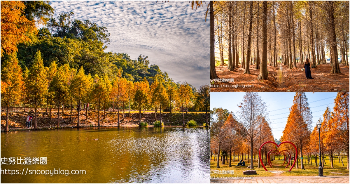 網站近期文章：北台灣落羽松景點推薦｜14個台北、桃園、宜蘭落羽松秘境懶人包，冬日限定焦糖色美景