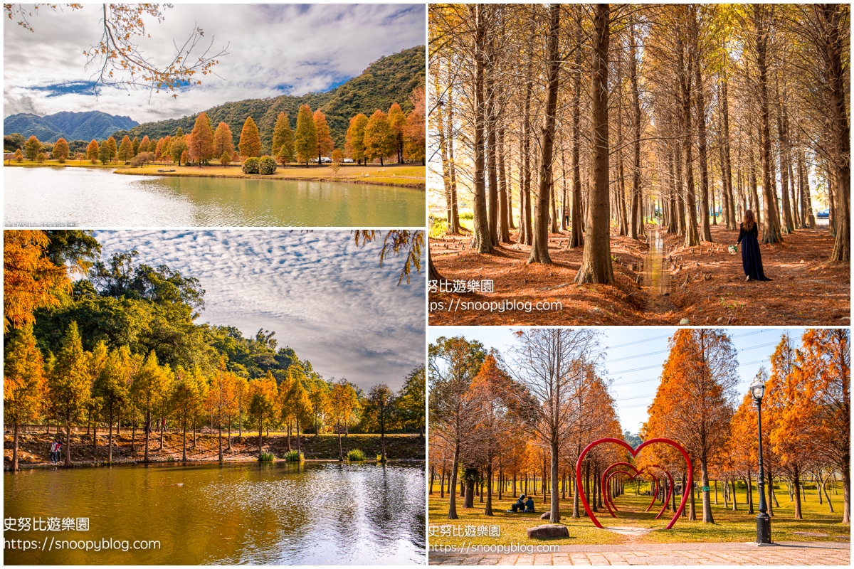 台北景點,宜蘭景點,桃園景點,落羽松