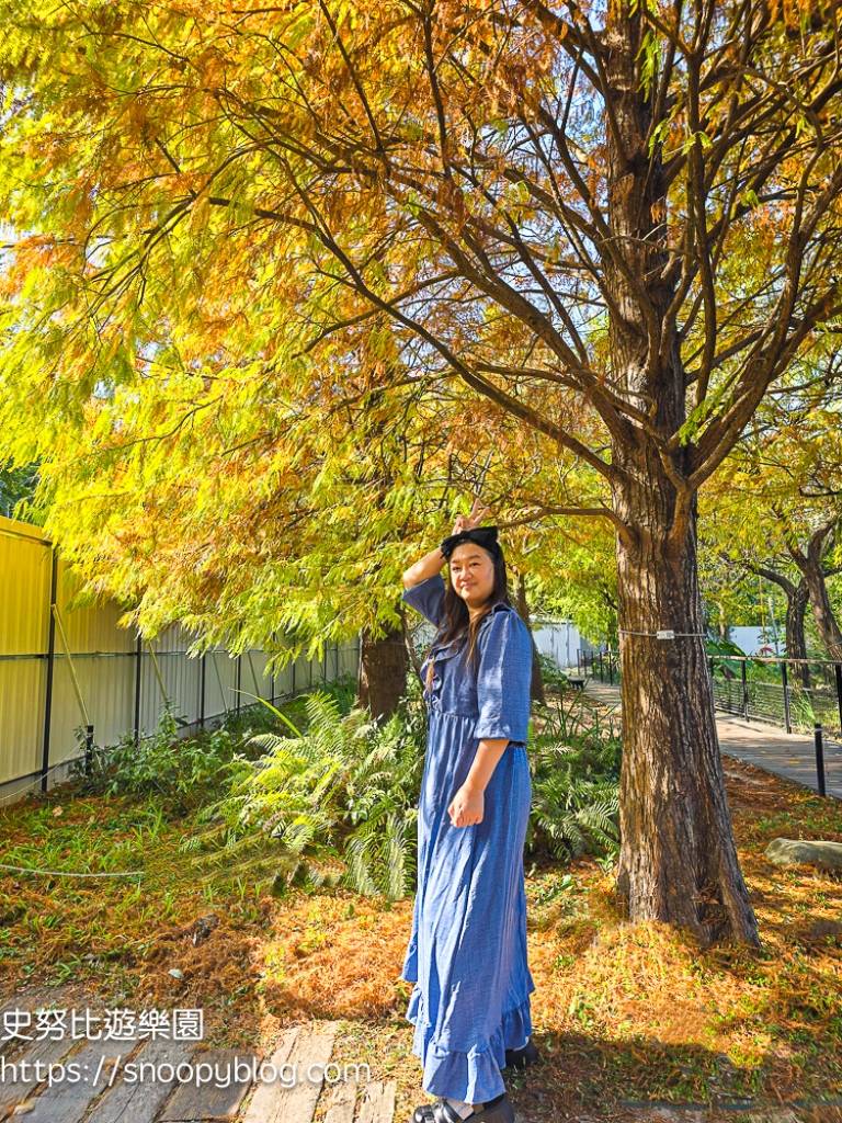 台北景點,台北落羽松,台北賞花景點
