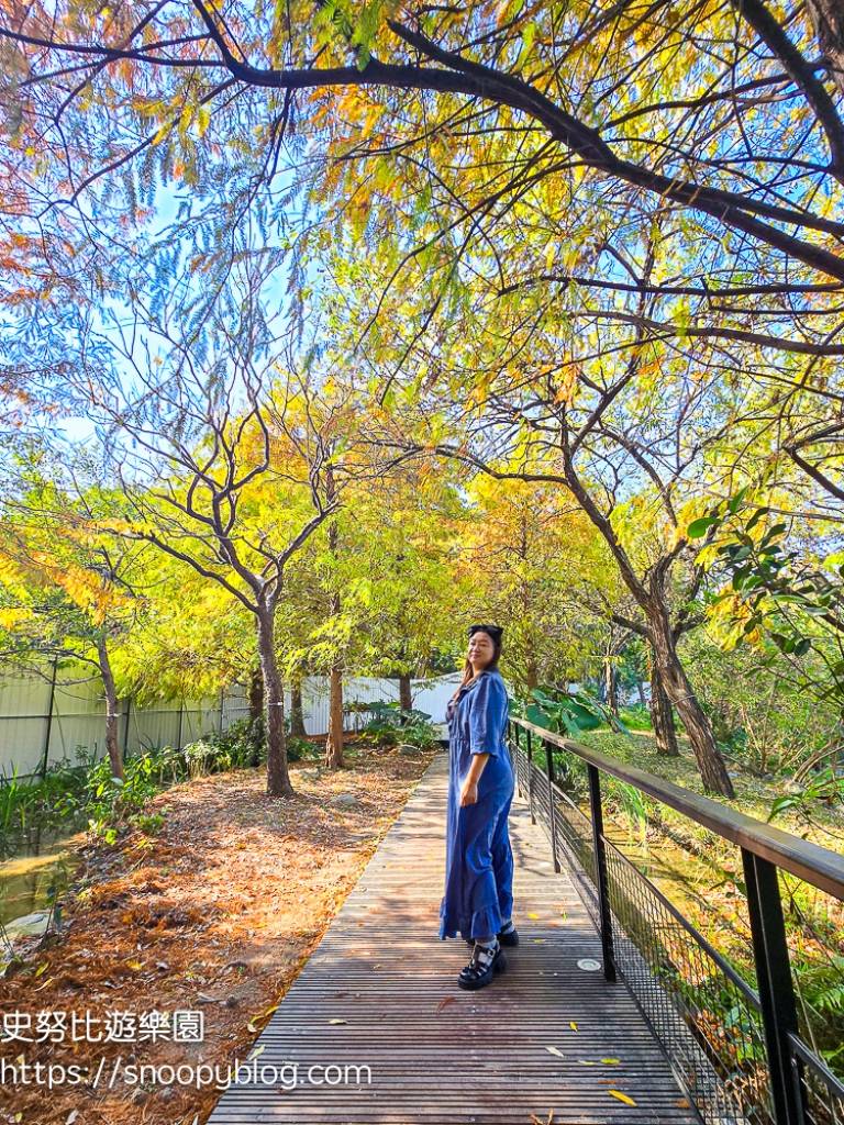 台北景點,台北落羽松,台北賞花景點 台北景點,台北落羽松,台北賞花景點