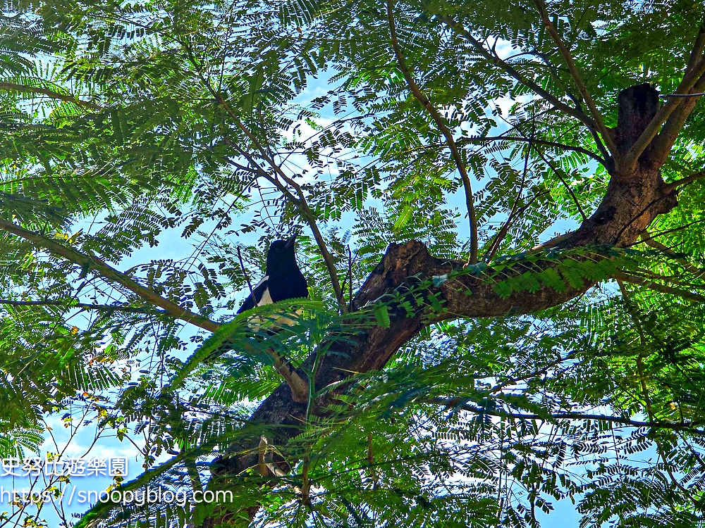 台北特色公園,台北親子景點,新莊景點,新莊特色公園,新莊親子景點