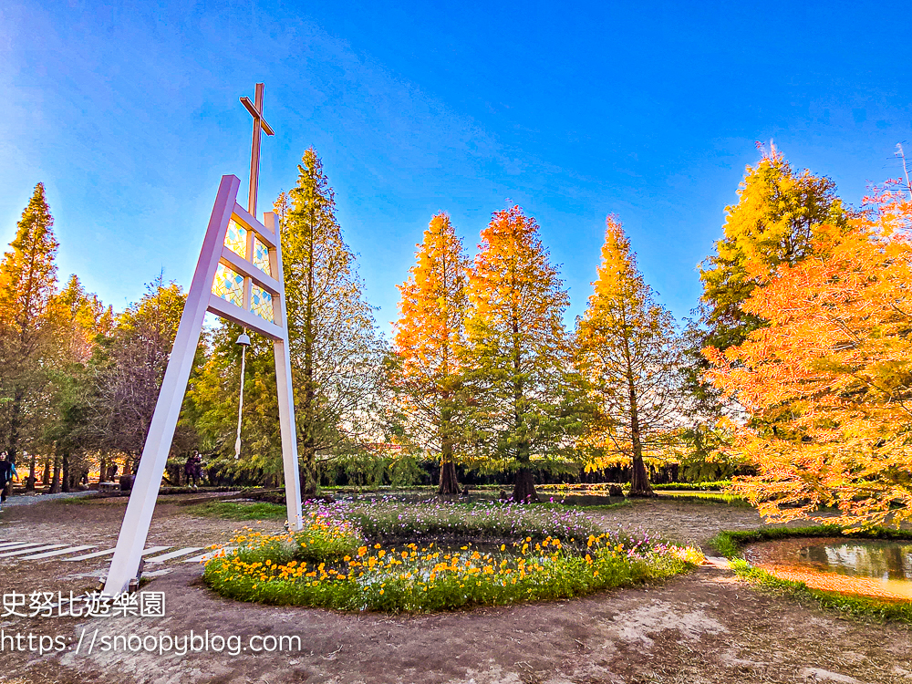 台中景點,后里景點,落羽松