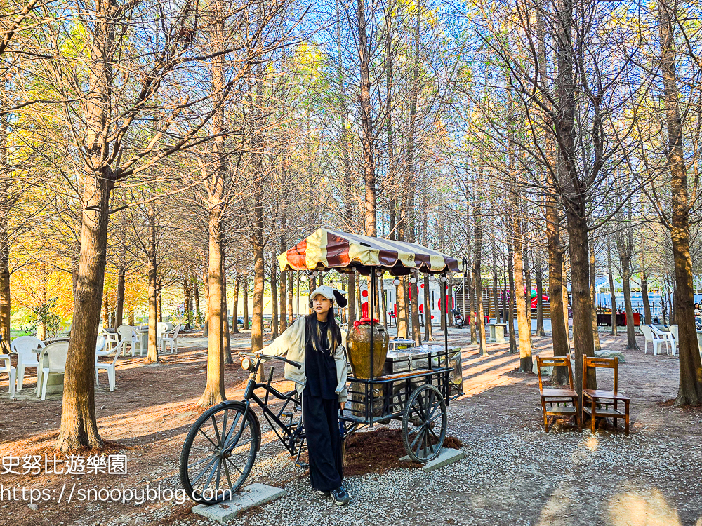 台中景點,后里景點,落羽松