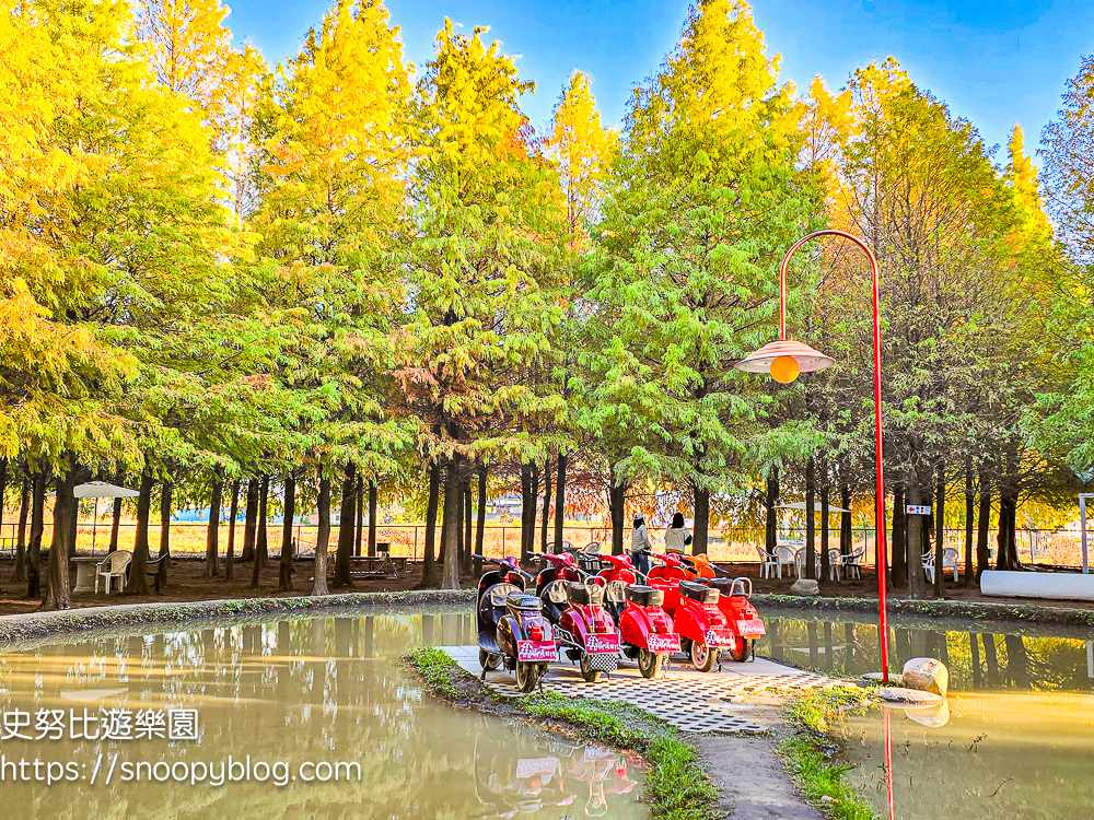 台中景點,后里景點,落羽松