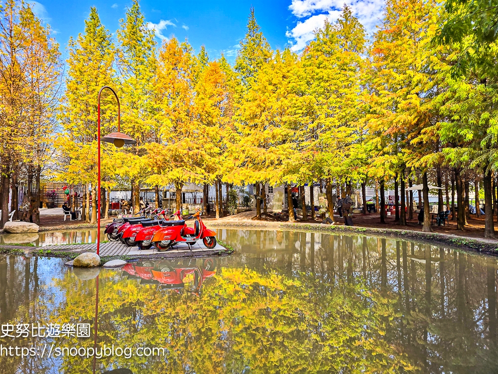 台中景點,后里景點,落羽松