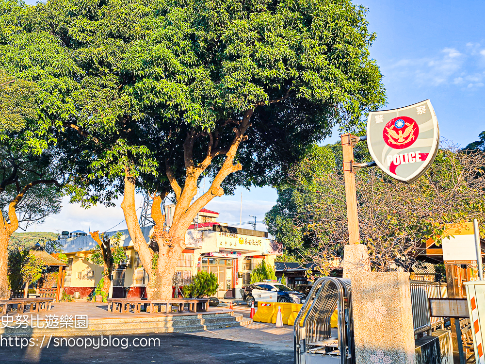 台中景點,后里景點,落羽松