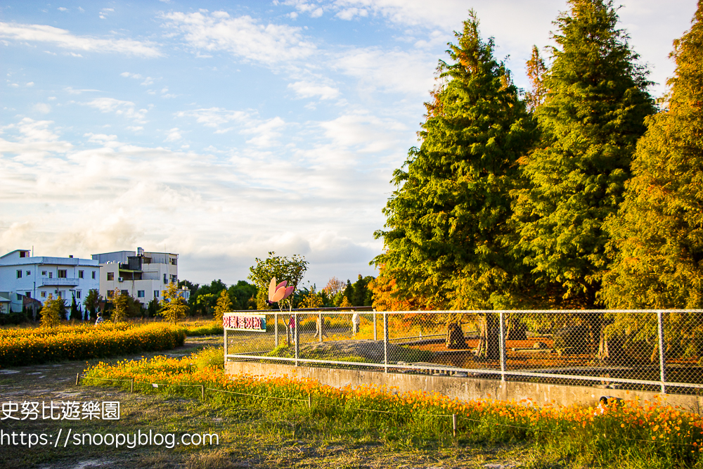 台中景點,后里景點,落羽松