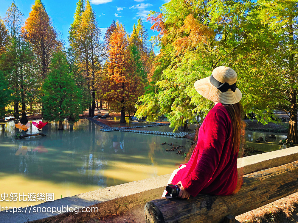 台中景點,后里景點,落羽松