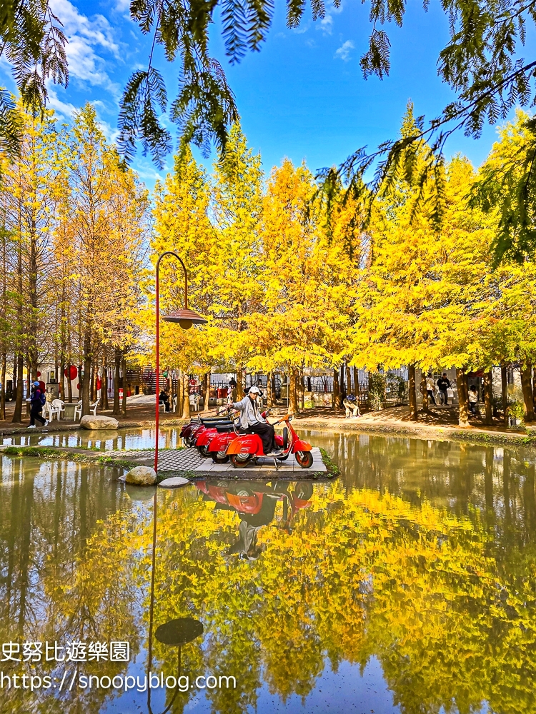 台中景點,后里景點,落羽松