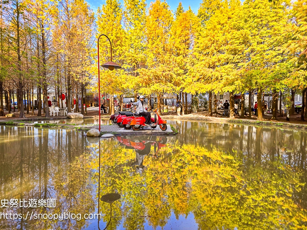 台中景點,后里景點,落羽松