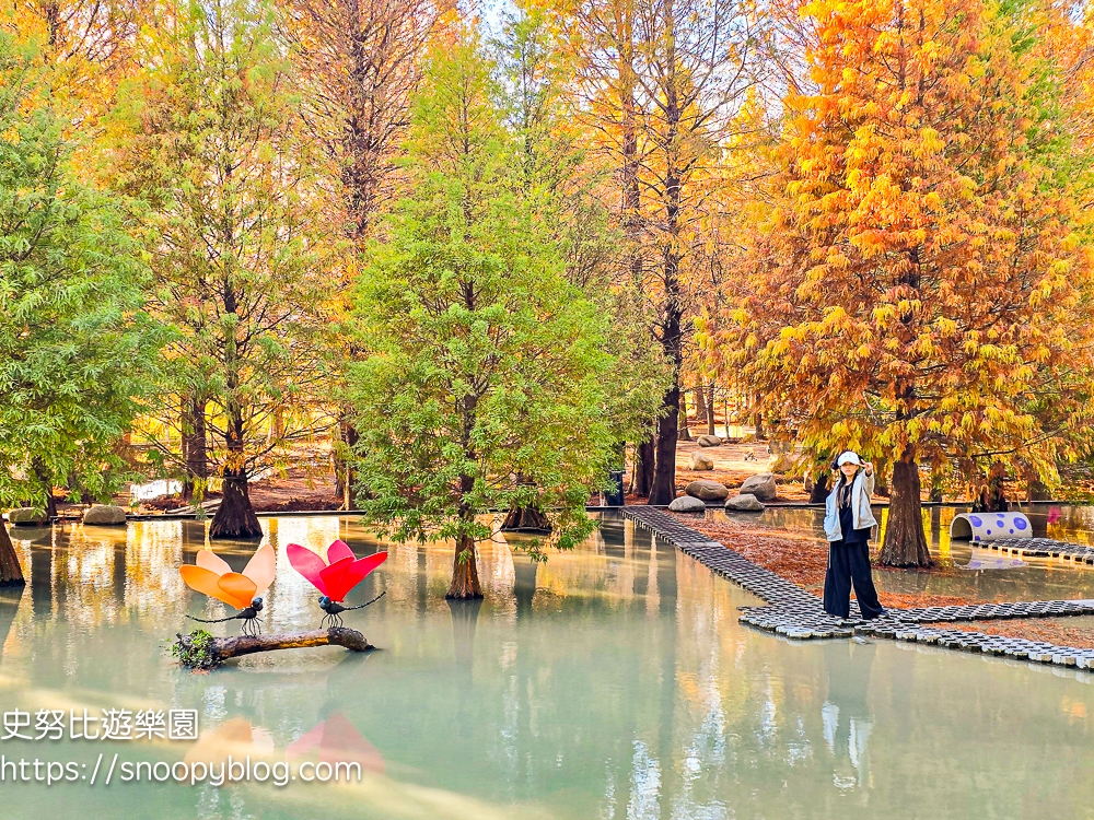 台中景點,后里景點,落羽松