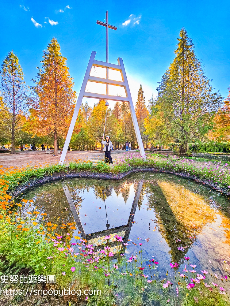 台中景點,后里景點,落羽松