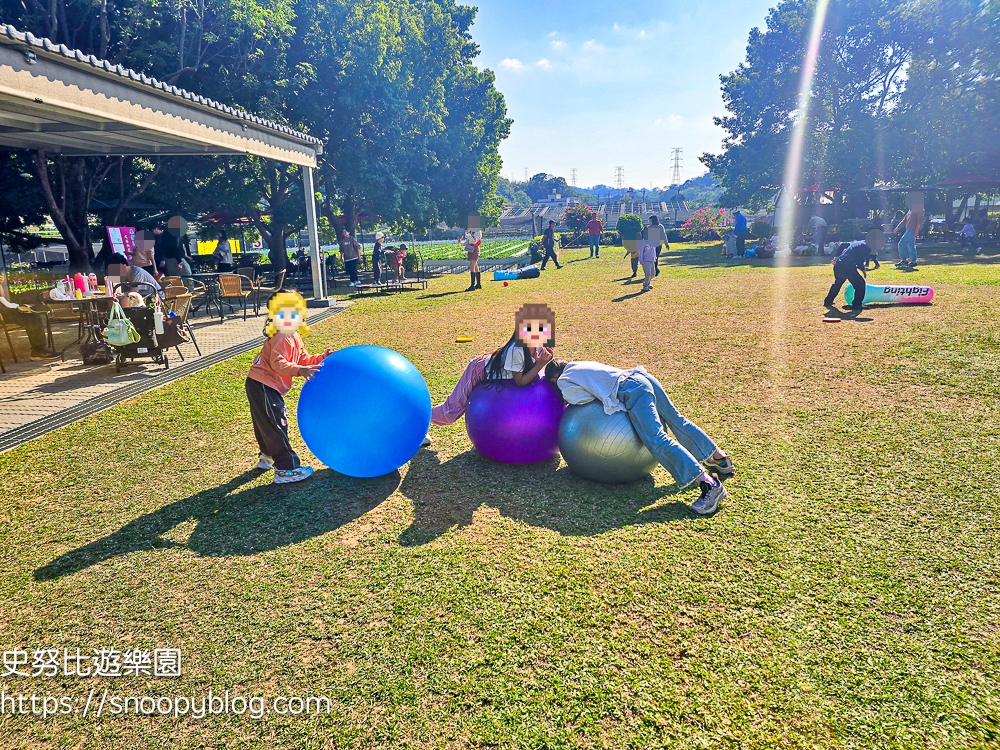 大湖採草莓,大湖景點,採草莓,苗栗親子景點
