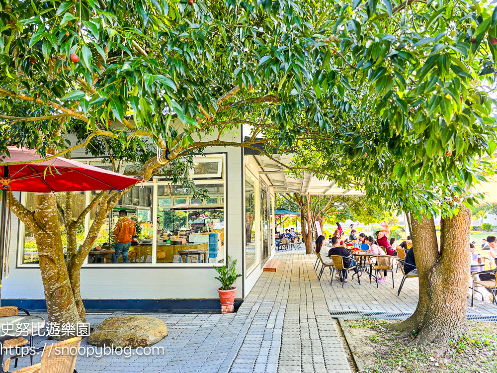 大湖採草莓,大湖景點,採草莓,苗栗親子景點