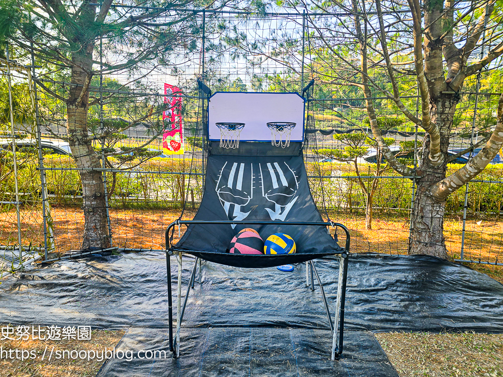 大湖採草莓,大湖景點,採草莓,苗栗親子景點