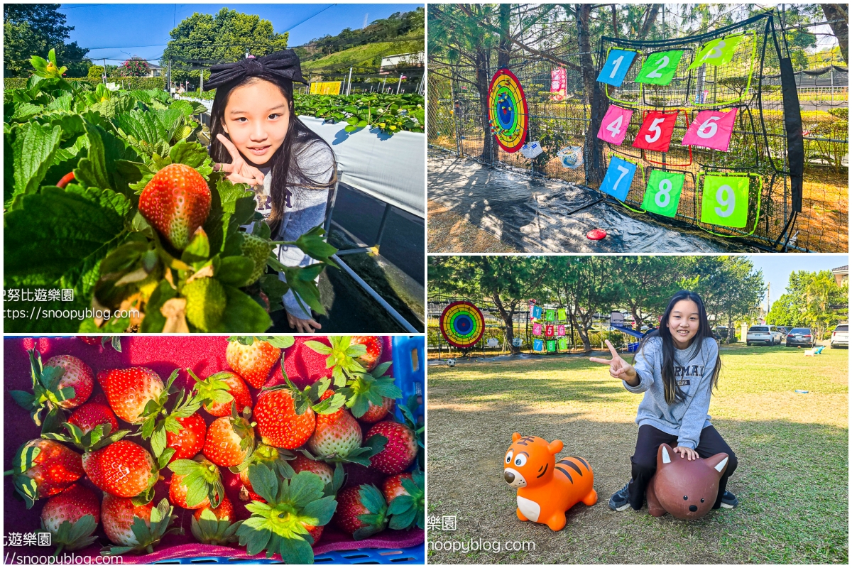 大湖採草莓,大湖景點,採草莓,苗栗親子景點