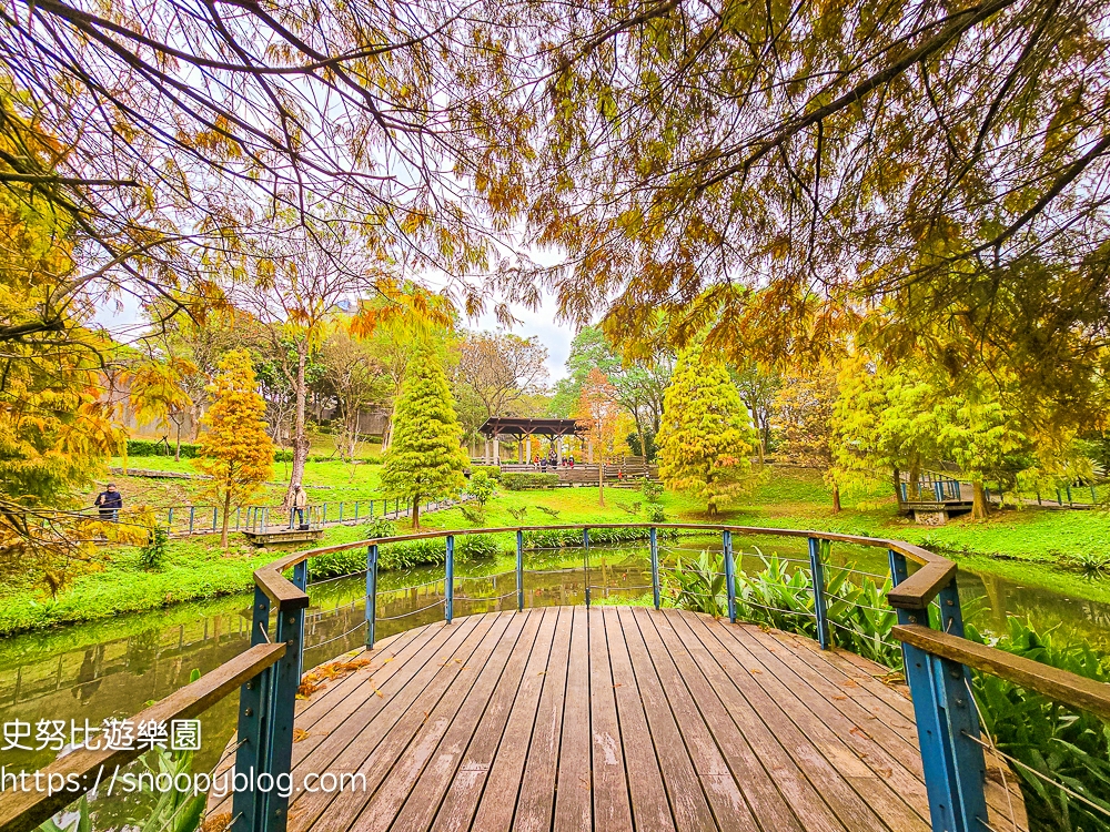 桃園景點,桃園賞花,落羽松,龜山景點
