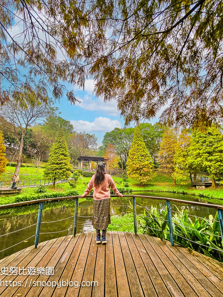 桃園景點,桃園賞花,落羽松,龜山景點