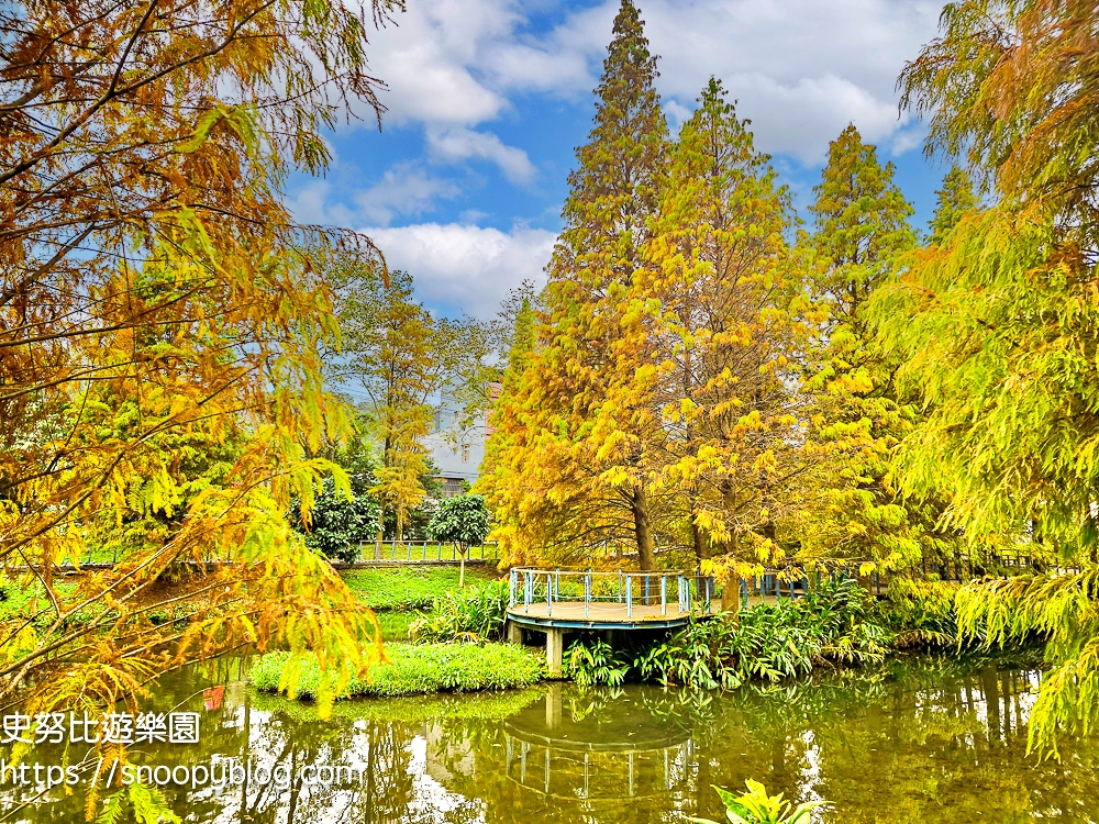 桃園景點,桃園賞花,落羽松,龜山景點