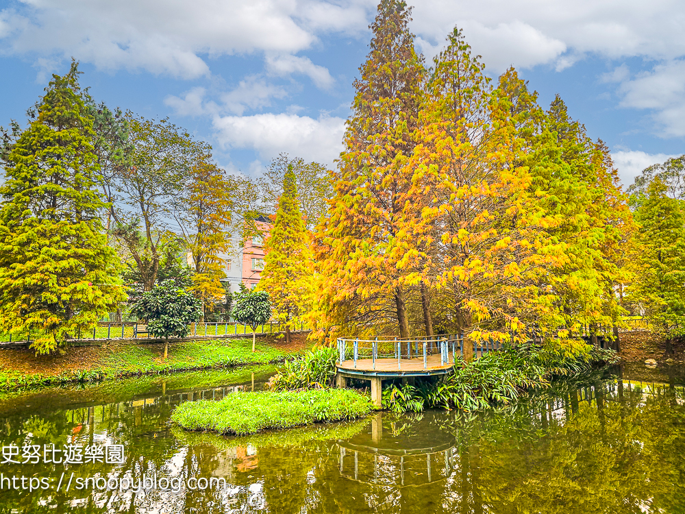 桃園景點,桃園賞花,落羽松,龜山景點