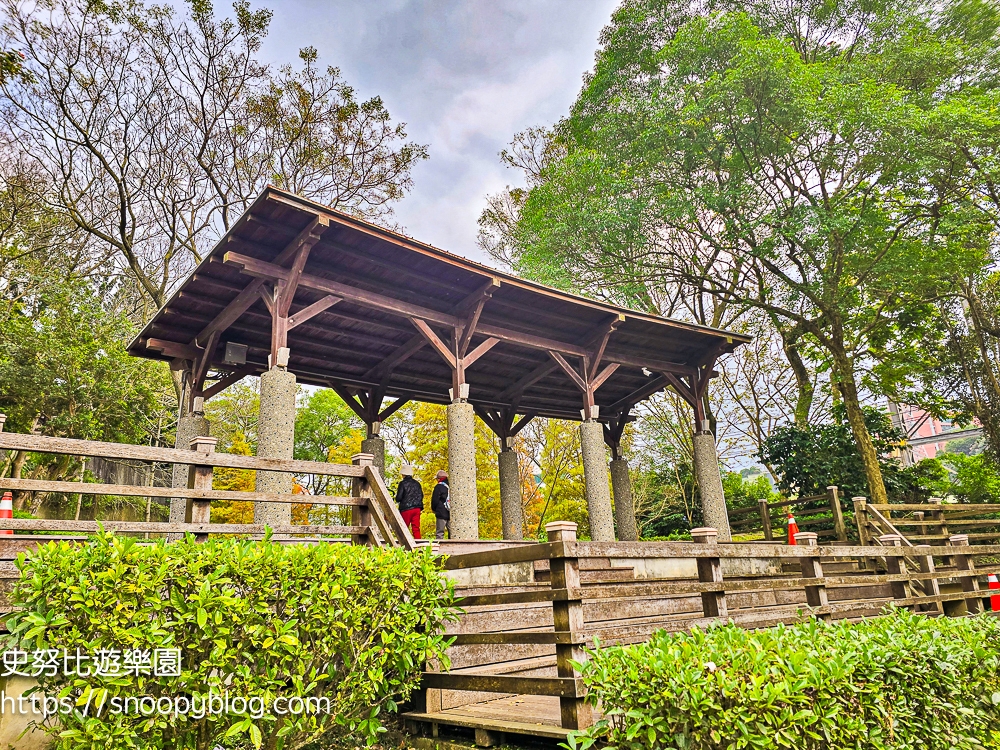 桃園景點,桃園賞花,落羽松,龜山景點
