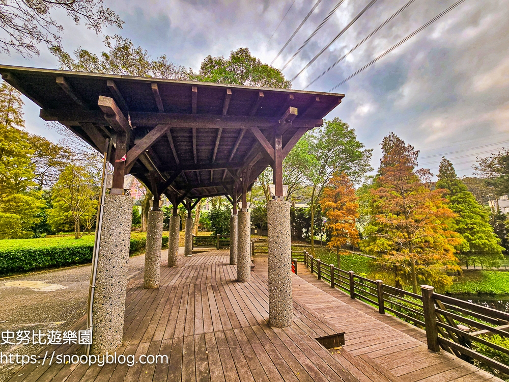 桃園景點,桃園賞花,落羽松,龜山景點