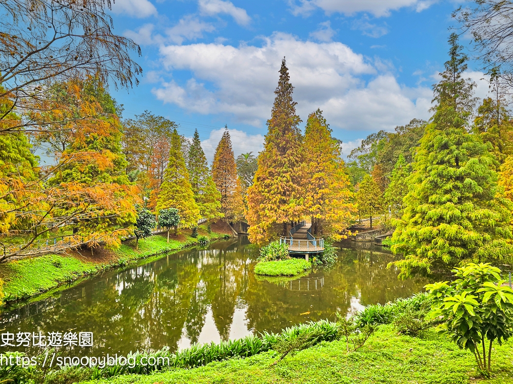 桃園景點,桃園賞花,落羽松,龜山景點