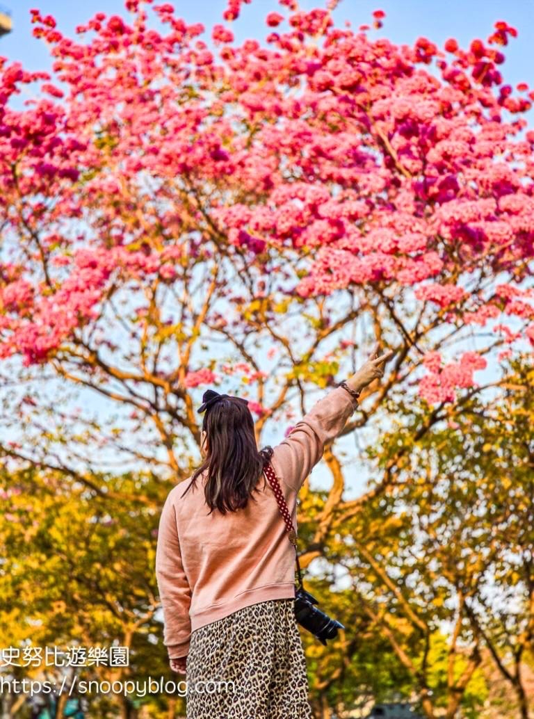 台中北屯景點,台中特色公園,台中親子景點,台中賞花景點