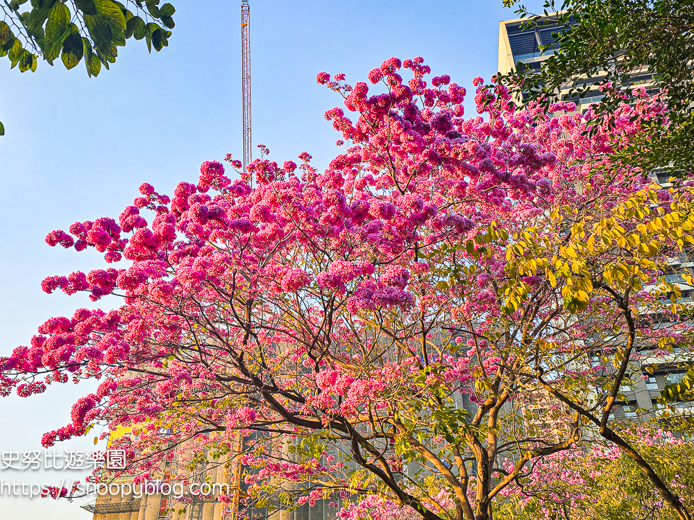 台中北屯景點,台中特色公園,台中親子景點,台中賞花景點