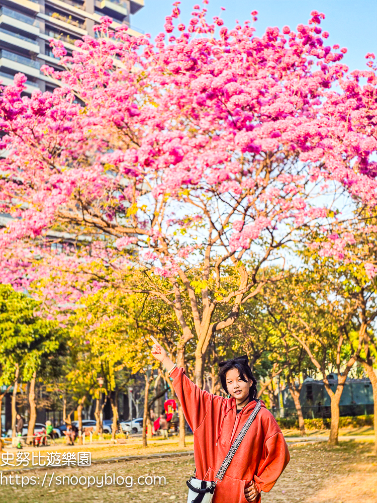 台中北屯景點,台中特色公園,台中親子景點,台中賞花景點