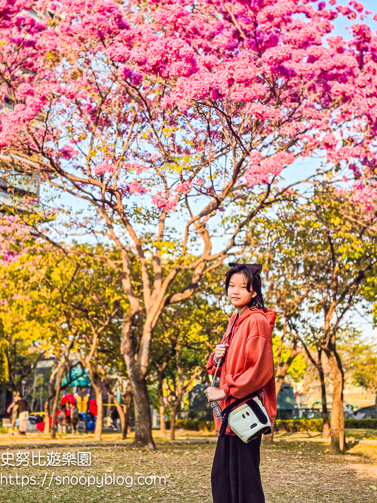 台中北屯景點,台中特色公園,台中親子景點,台中賞花景點