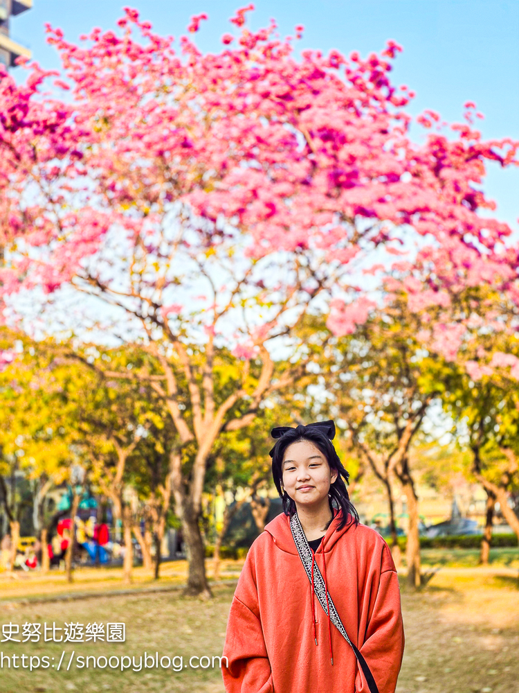 台中北屯景點,台中特色公園,台中親子景點,台中賞花景點
