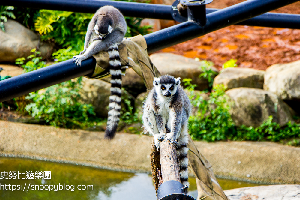 新竹親子飯店,新竹飯店推薦,關西住宿