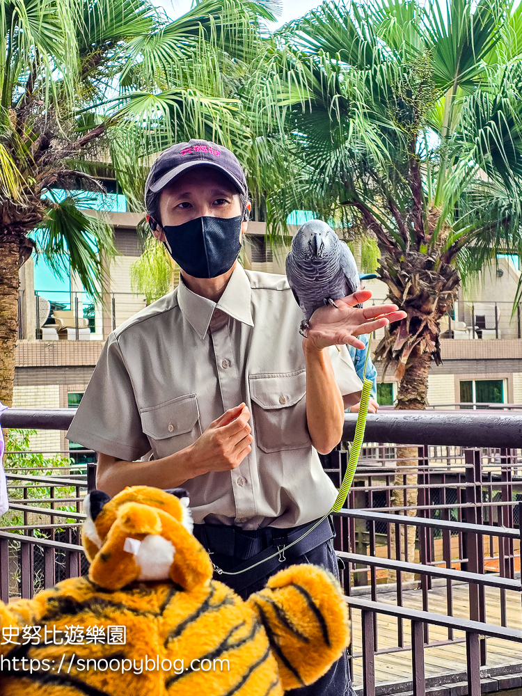 新竹親子飯店,新竹飯店推薦,關西住宿