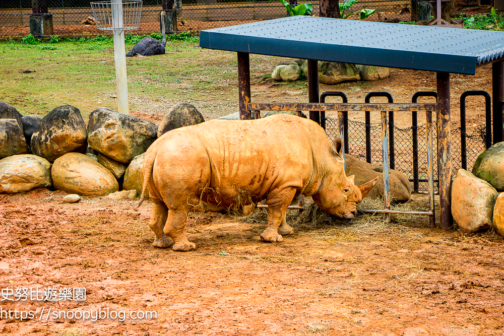 新竹親子飯店,新竹飯店推薦,關西住宿