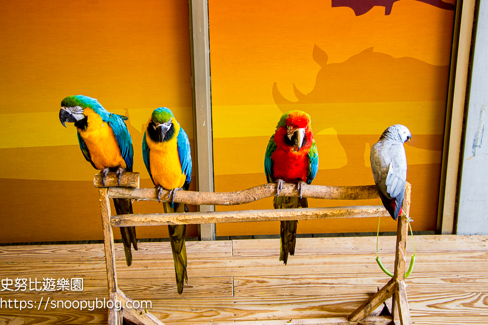 新竹親子飯店,新竹飯店推薦,關西住宿