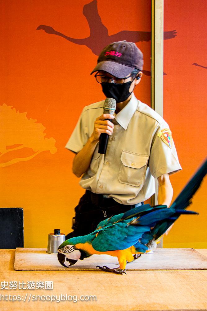 新竹親子飯店,新竹飯店推薦,關西住宿