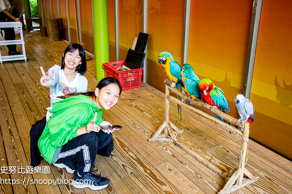 新竹親子飯店,新竹飯店推薦,關西住宿