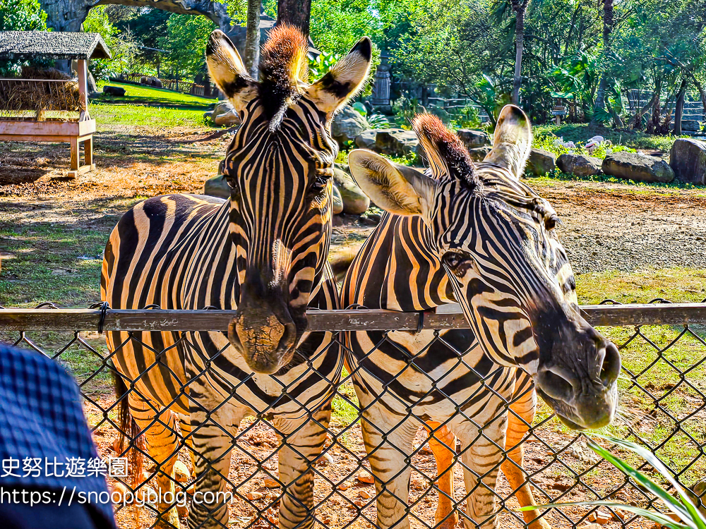 新竹親子飯店,新竹飯店推薦,關西住宿