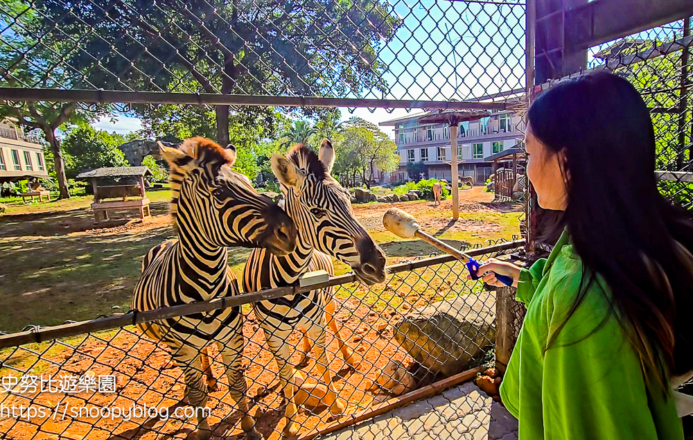 新竹親子飯店,新竹飯店推薦,關西住宿