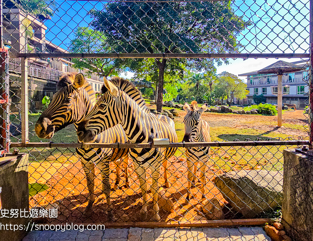 新竹親子飯店,新竹飯店推薦,關西住宿