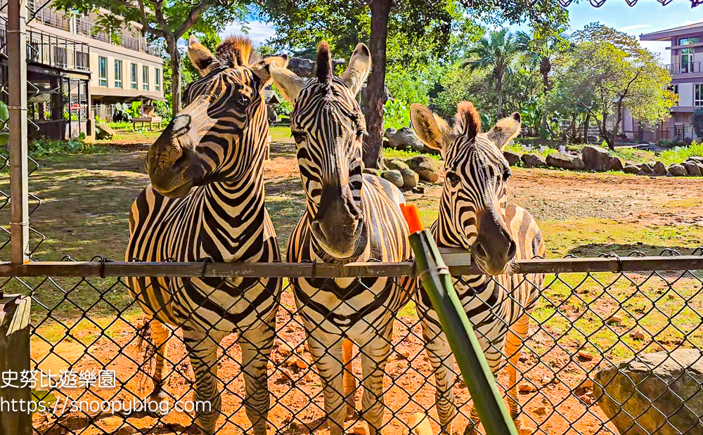新竹親子飯店,新竹飯店推薦,關西住宿