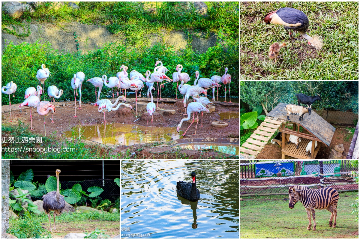 新竹親子飯店,新竹飯店推薦,關西住宿