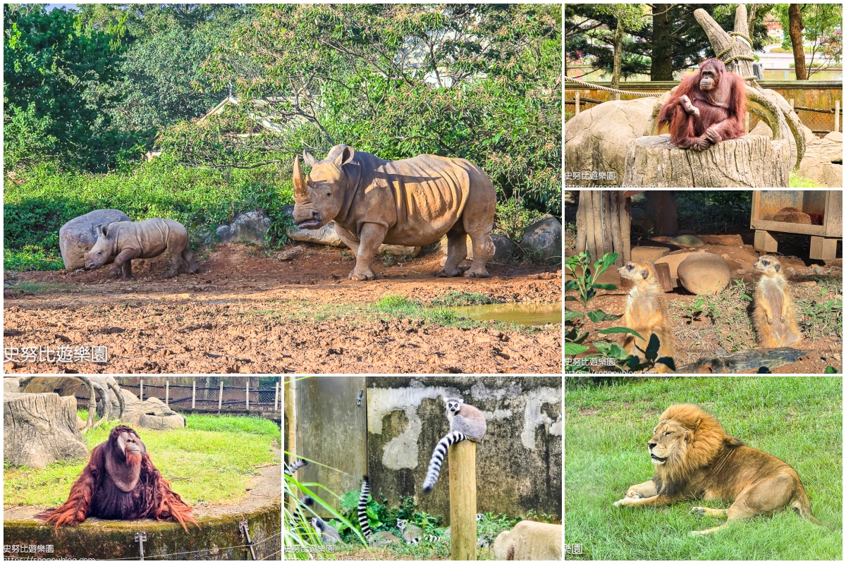新竹親子飯店,新竹飯店推薦,關西住宿