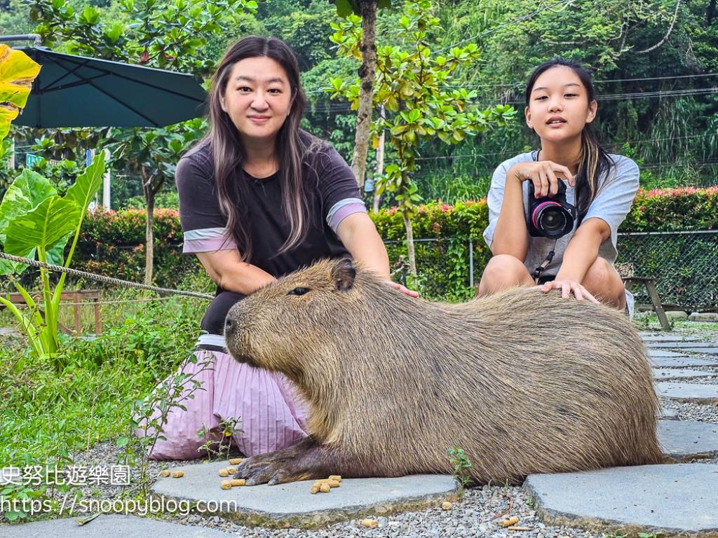 南投景點,另類寵物餐廳,埔里咖啡館,埔里景點