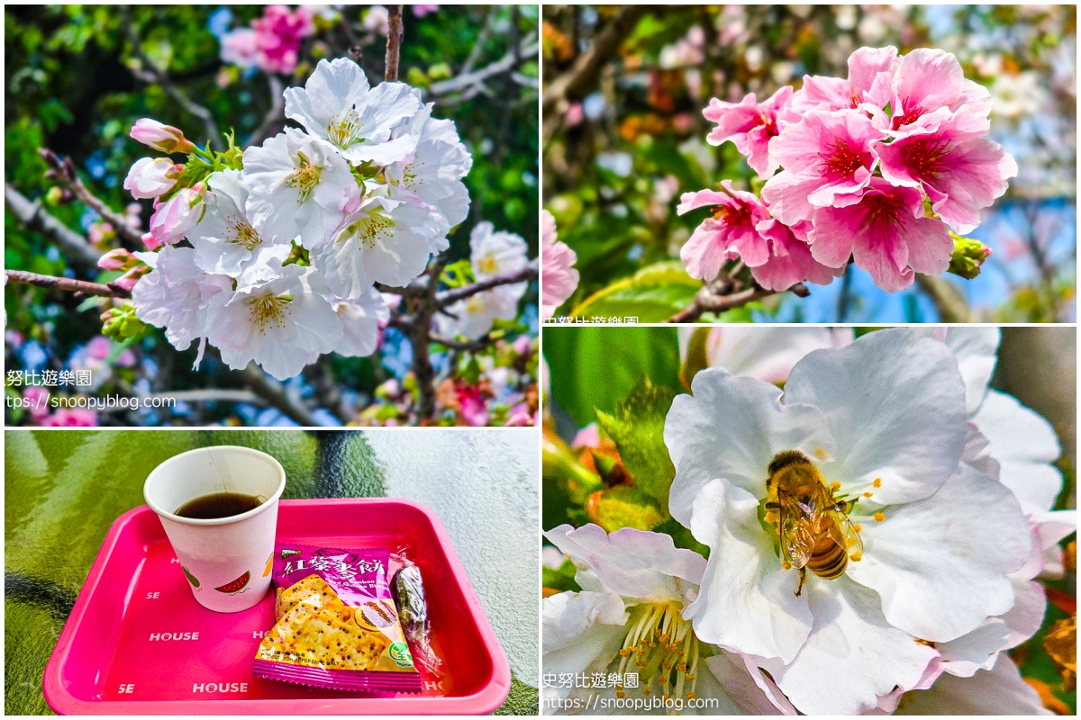  @史努比遊樂園