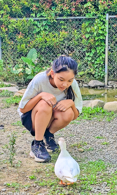 南投景點,另類寵物餐廳,埔里咖啡館,埔里景點