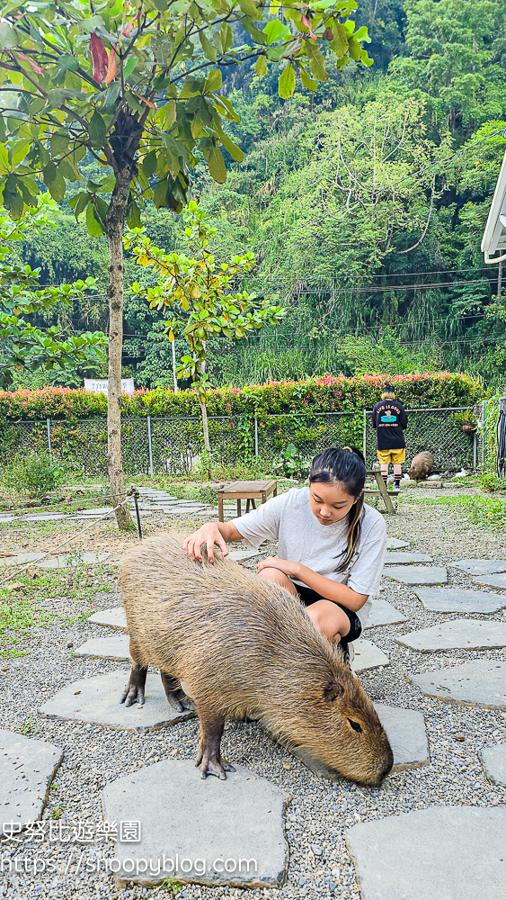南投景點,另類寵物餐廳,埔里咖啡館,埔里景點