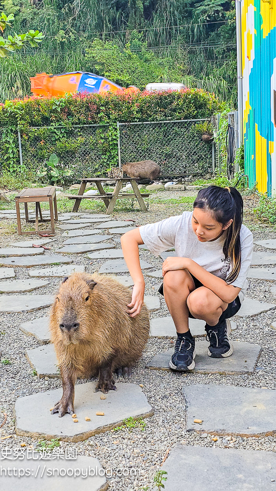 南投景點,另類寵物餐廳,埔里咖啡館,埔里景點